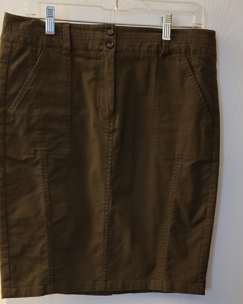 Ann Taylor pencil skirt